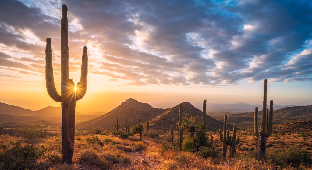 Desert sunset with mountains | Arizona timeshare cancellation
