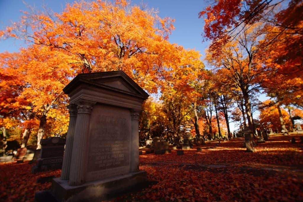 Fall trees and cemetery in Missouri | Missouri  timeshare cancellation