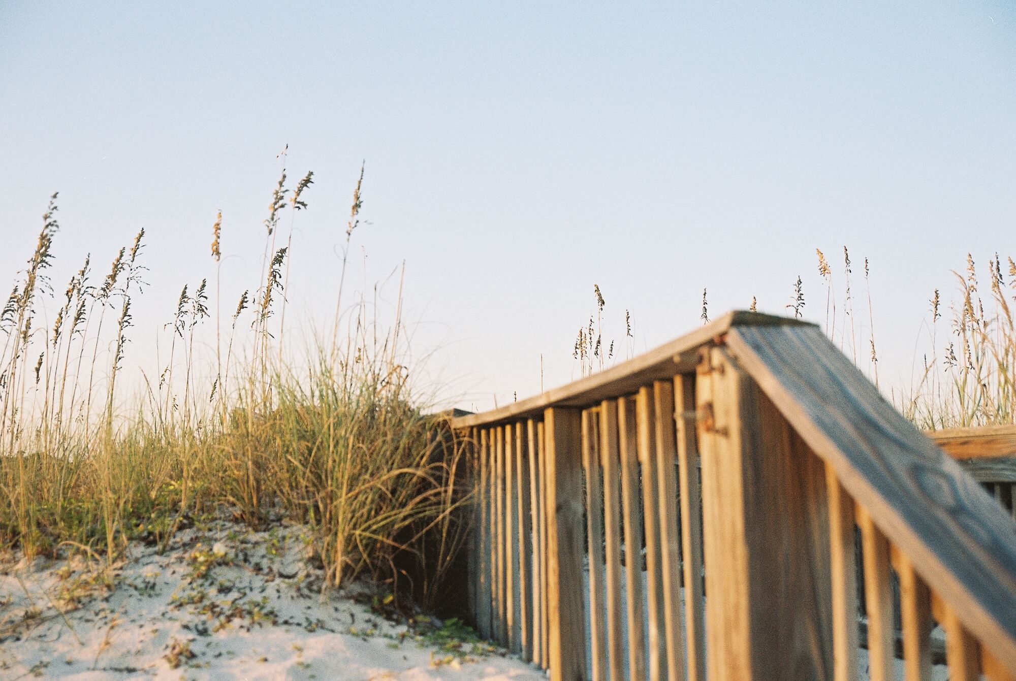 Dunes on a beach | Timeshare cancellation in Alabama