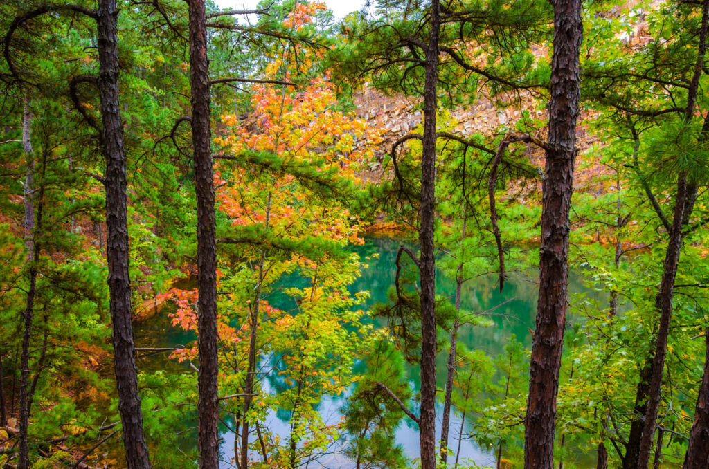Beautiful state park with leaves | Timeshare cancellation in Arkansas