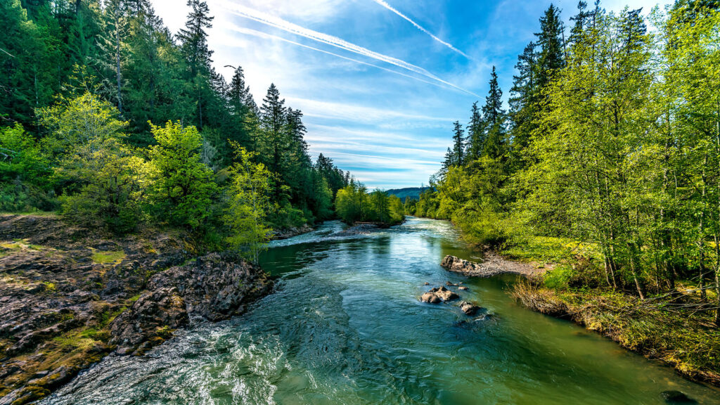River flowing through a park | Timeshare cancellation in Oregon