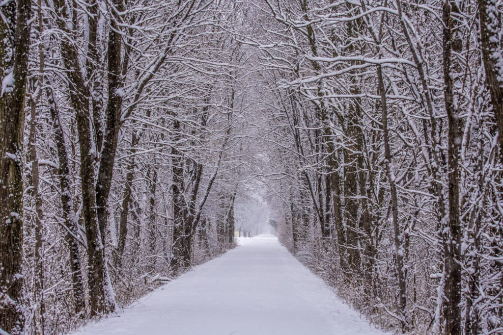 Winter scenery in a park | Timeshare cancellation in Iowa