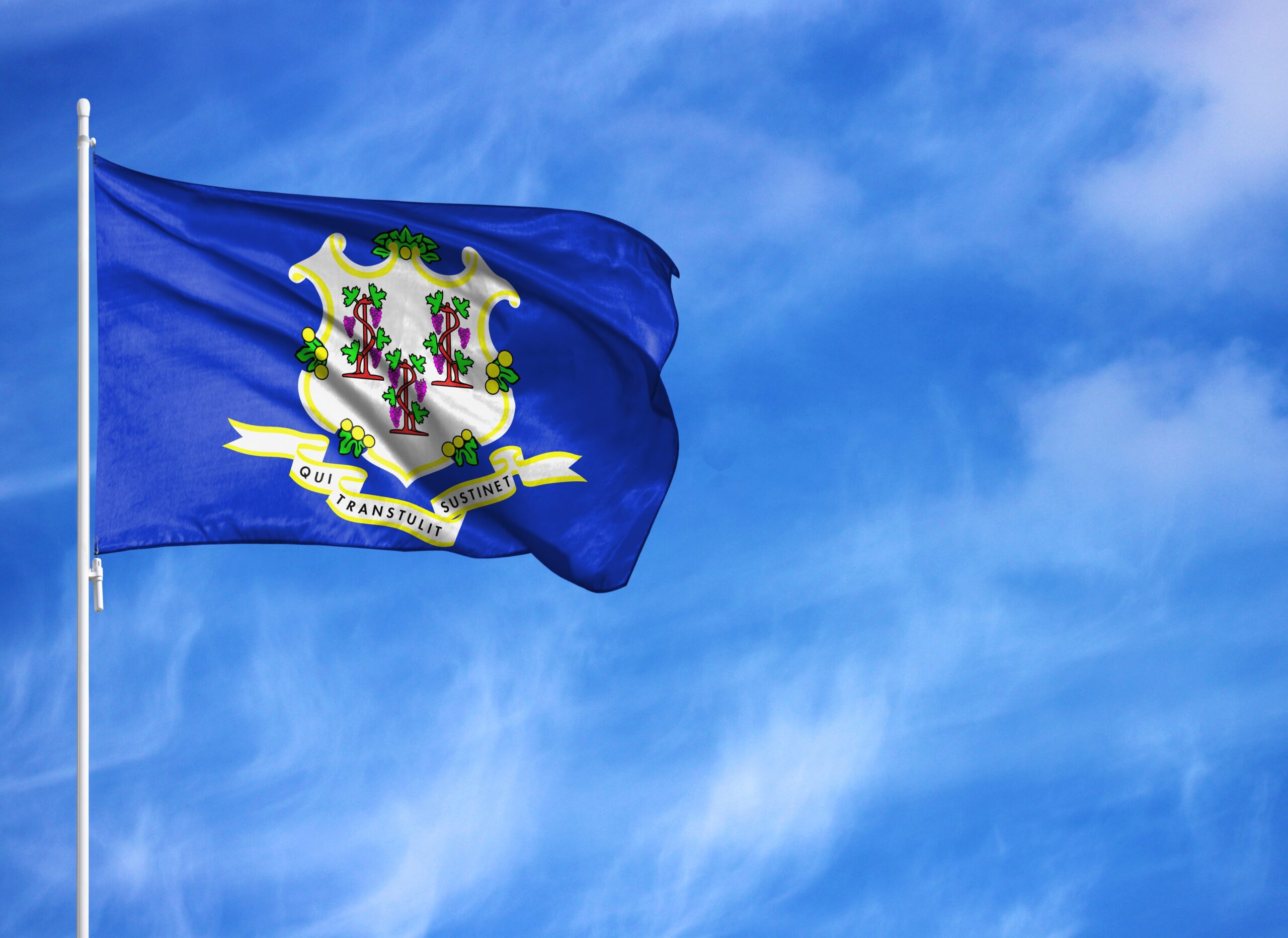 State flag waving in the wind | Connecticut timeshare cancellation