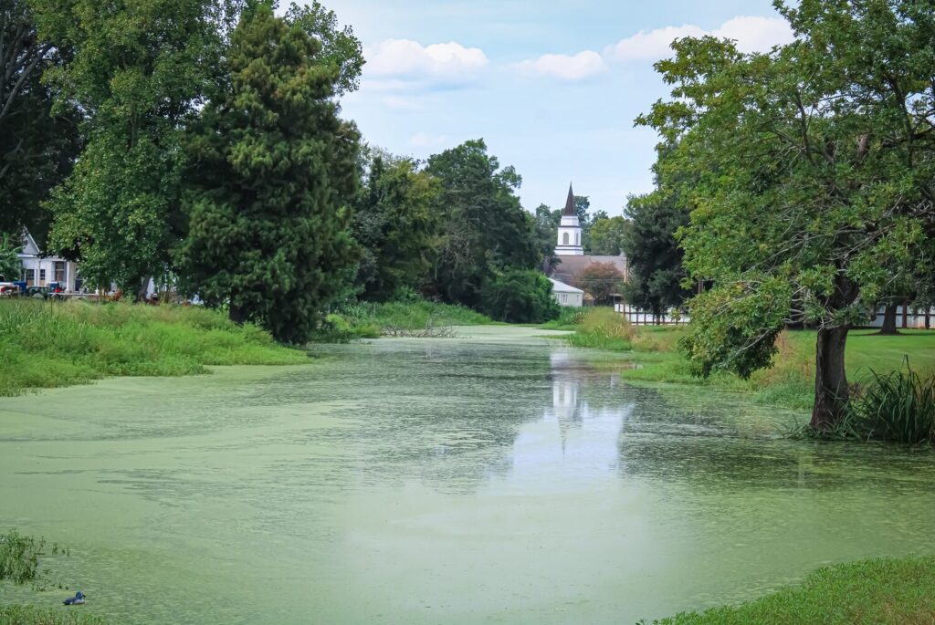 Swamp in front of a building | Louisiana timeshare cancellation