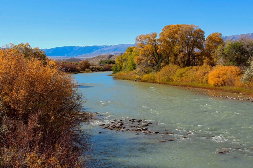 Fall foliage near a river | Montana timeshare cancellation