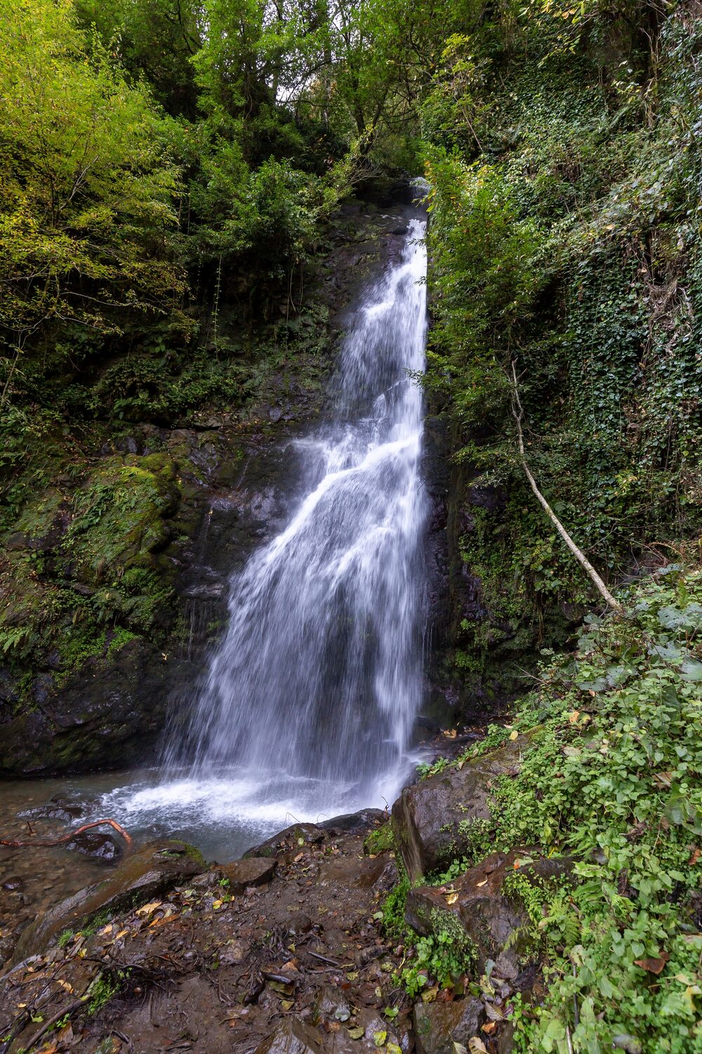 Waterfall in a park | Georgia timeshare cancellation