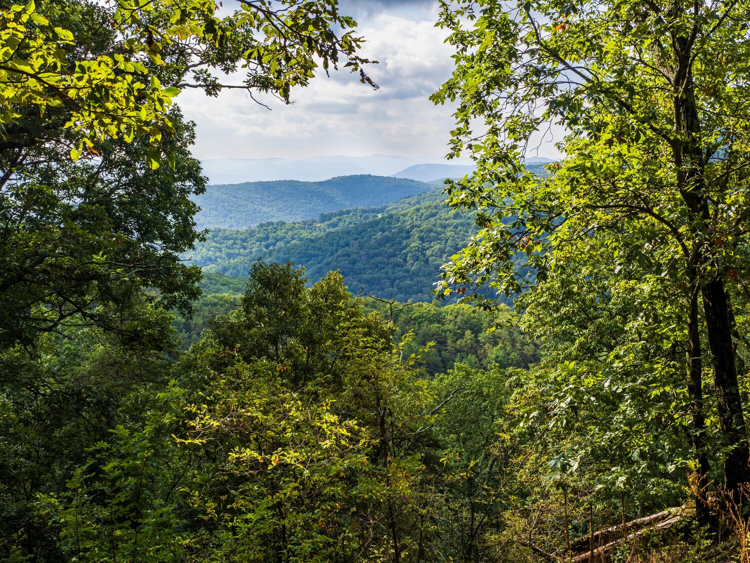 Mountains and foliage | West Virginia timeshare cancellation