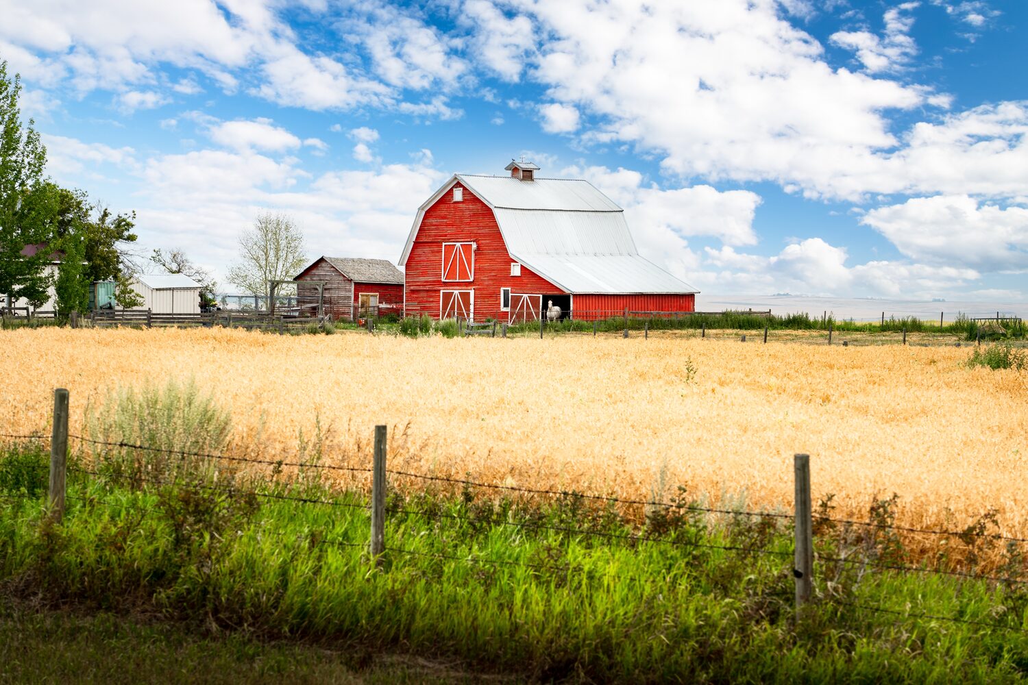 Red rustic barn on a farm | Wisconsin timeshare cancellation