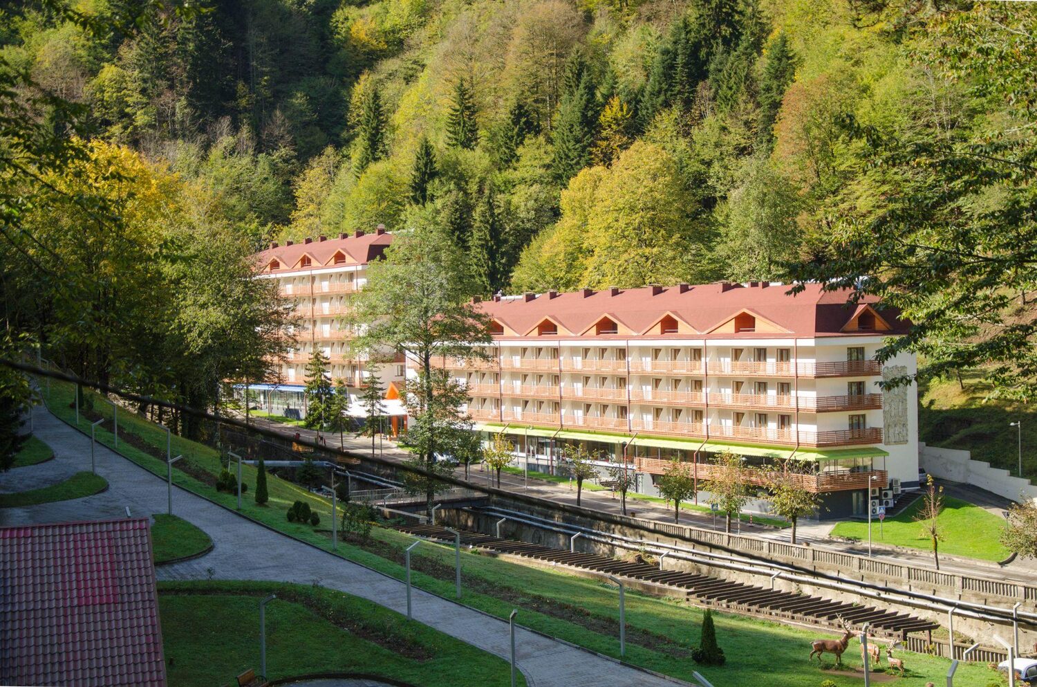 Hotel in the woods | Best timeshare cancellation company