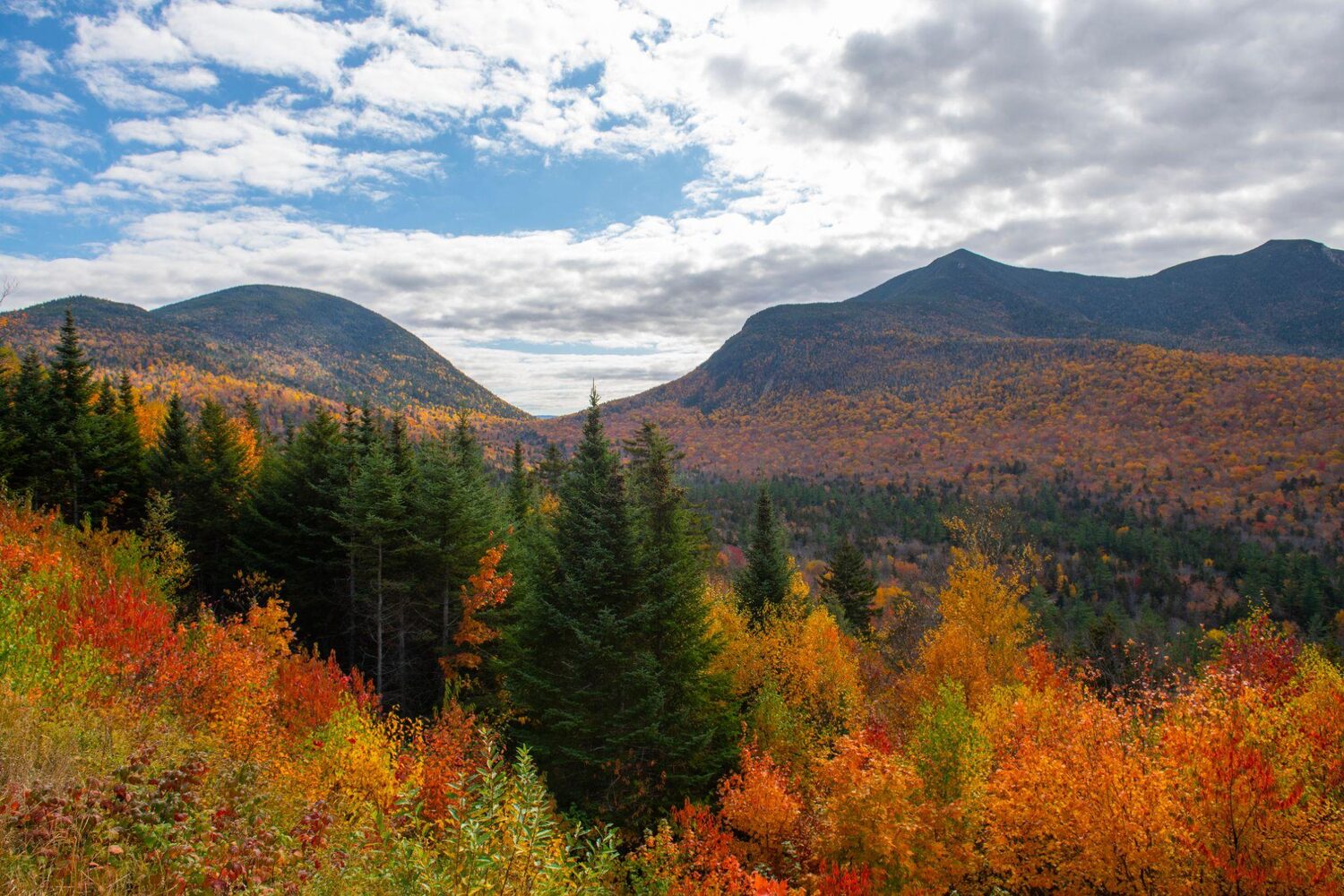 Fall foliage in a park | New Hampshire timeshare cancellation