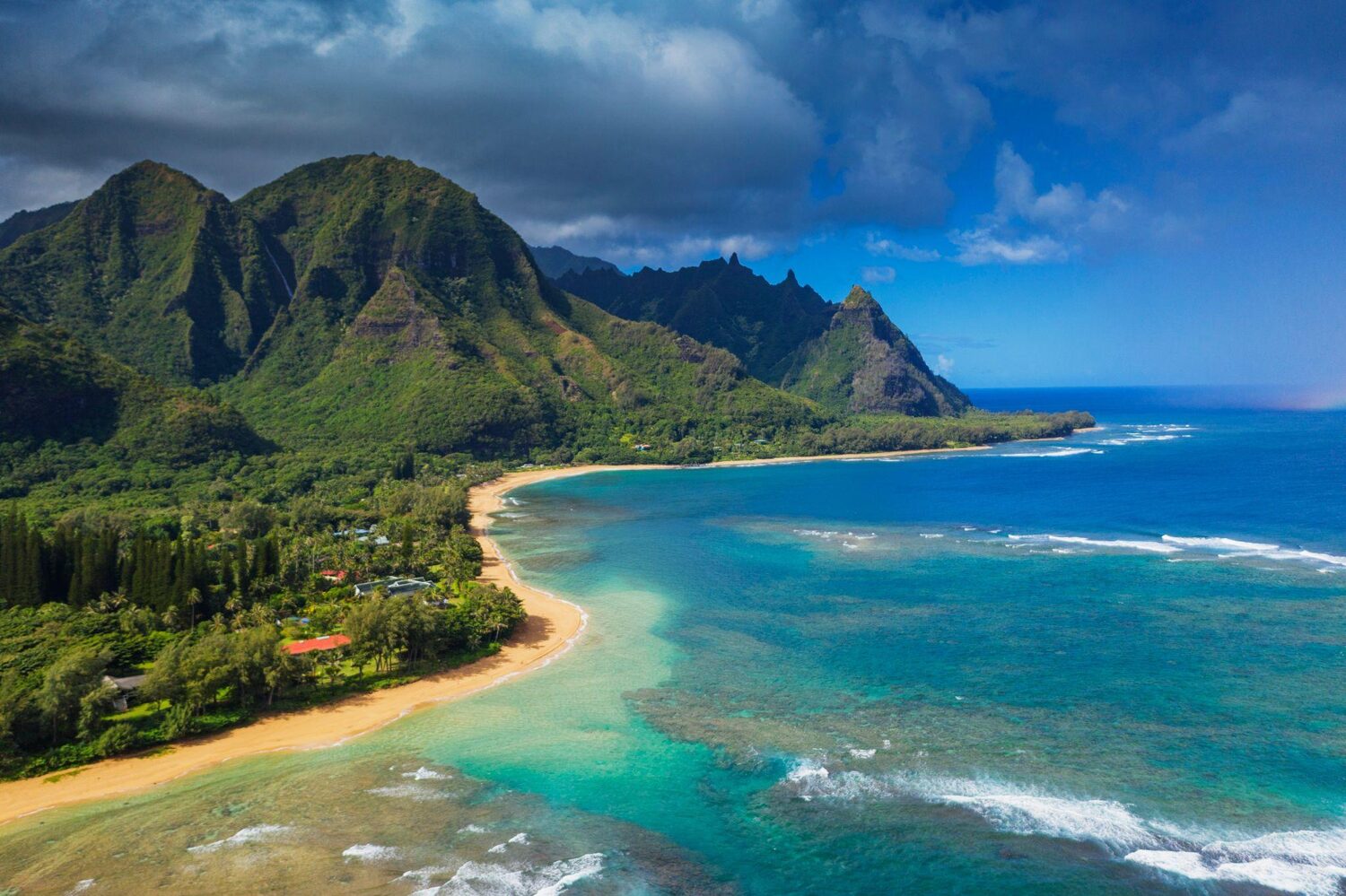Aerial view of a Hawaii coastline | Timeshare statistics
