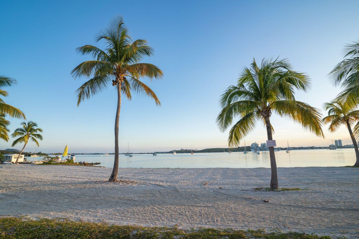 Sunrise on a beach in Florida | Timeshare statistics