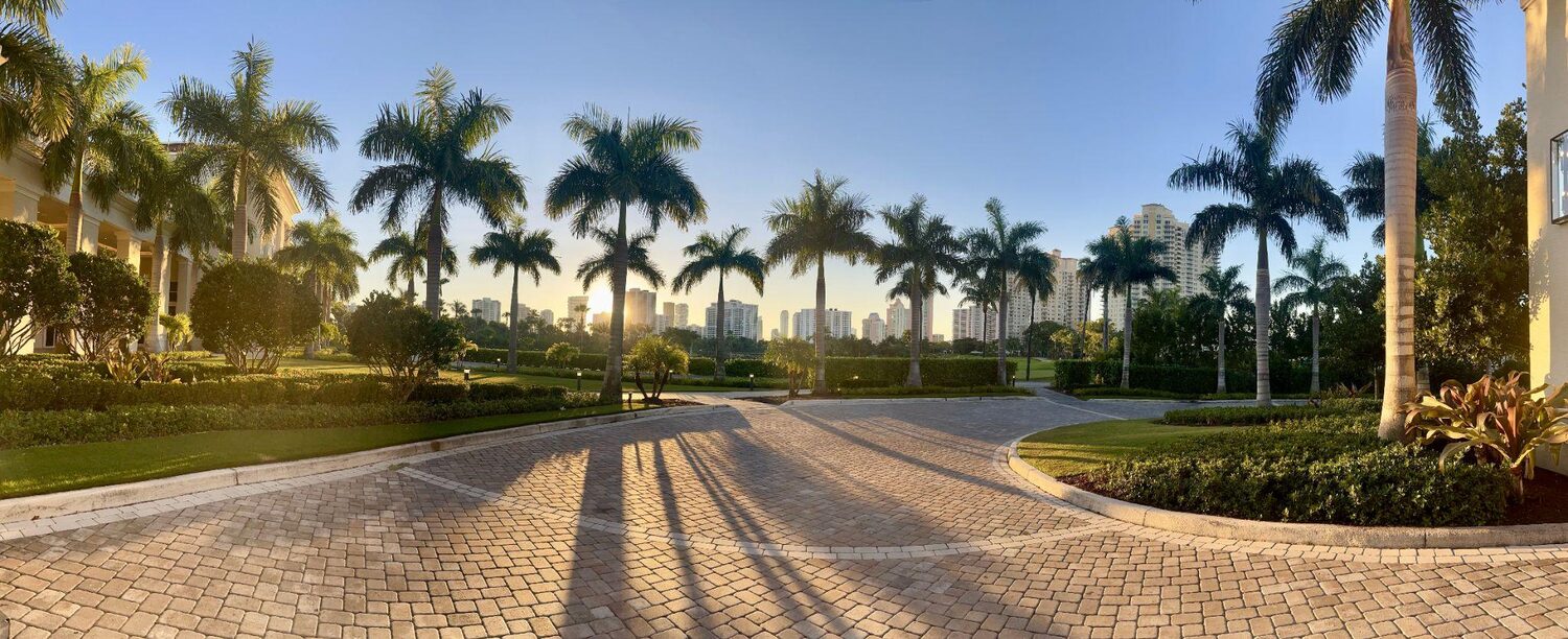 Palm trees in front of resorts | Timeshare statistics